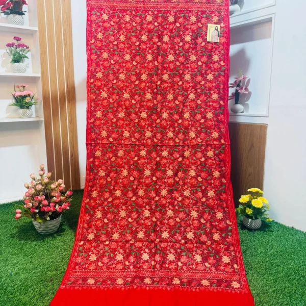 Beautiful Kashmiri Shawl - KS685